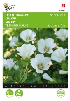 https://www.warentuin.nl/media/catalog/product/S/C/SCAN8711117044765_zaden_malope_trechtermalva_white_queen_1_5_gram_buzzy_seeds_c585.jpg