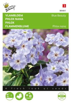 https://www.warentuin.nl/media/catalog/product/S/C/SCAN8711117046417_zaden_phlox_vlambloem_blue_beauty_0_4_gram_buzzy_seeds_7410.jpg