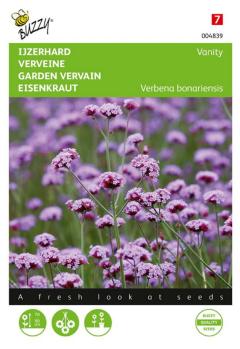 https://www.warentuin.nl/media/catalog/product/S/C/SCAN8711117048398_zaden_verbena_ijzerhard_vanity_25_zaden_buzzy_seeds_7cc1.jpg