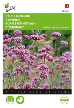 https://www.warentuin.nl/media/catalog/product/S/C/SCAN8711117048411_zaden_verbena_stijf_ijzerhard_0_4_gram_buzzy_seeds_630e.jpg