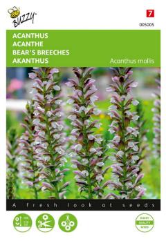 https://www.warentuin.nl/media/catalog/product/S/C/SCAN8711117050056_zaden_acanthus_2_gram_buzzy_seeds_0a0b.jpg