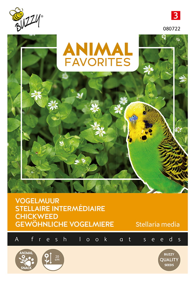 Animal favorites vogelgroenvoer - siervogels en kippen tuinzaden - Tuinplus