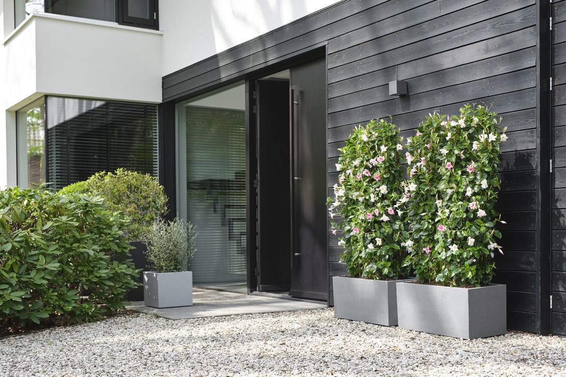 Elho Vivo Next Vierkant 30 - Plantenbak voor Binnen & buiten - Ø 29,5 x H 24,9 - Grijs/Living Concrete