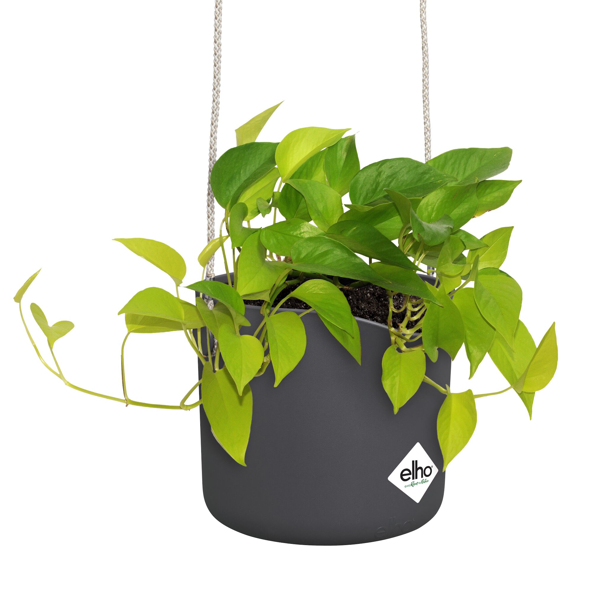 Elho B.for Swing 18 Hangpot - Bloempot voor Binnen - Ø 18.0 x H 16.5 cm - Zwart/Antraciet