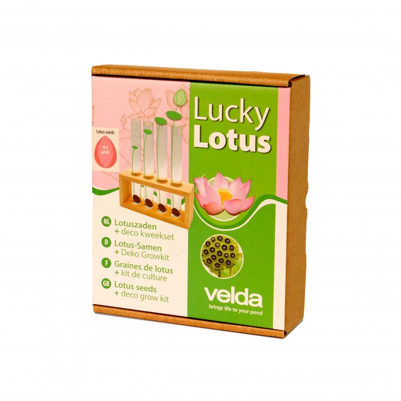 Velda Plantenvaasje Lucky Lotus 20 Cm Hout/glas Roze