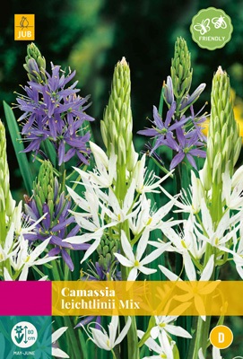 Camassia leichtlinii Mix - JUB