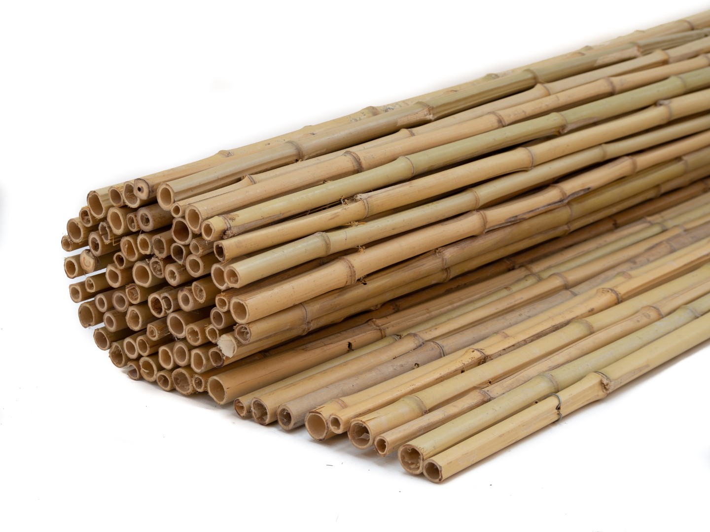 Bamboe rolscherm Dalian 100x180 cm op rol Van Rees