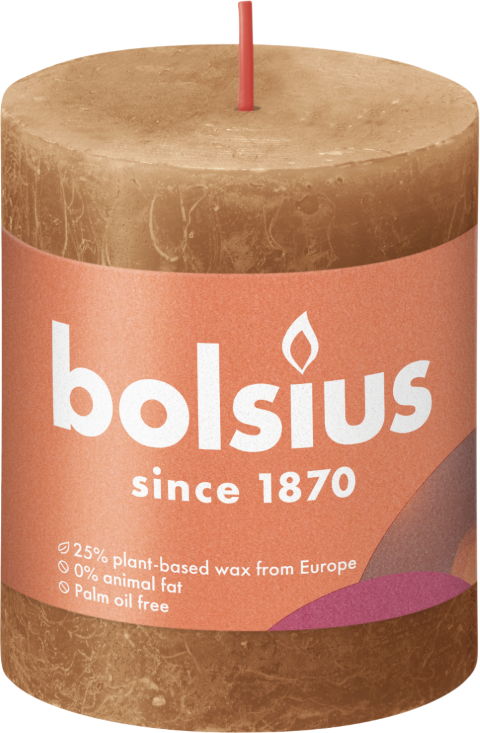 https://www.warentuin.nl/media/catalog/product/S/C/SCAN8717847148957_bolsius_stompkaars_rustiek_stompkaars_80_68_spice_brown_bolsi_fdf0.png