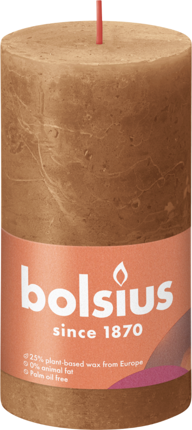 https://www.warentuin.nl/media/catalog/product/S/C/SCAN8717847149367_bolsius_stompkaars_rustiek_stompkaars_130_68_spice_brown_bols_5849.png