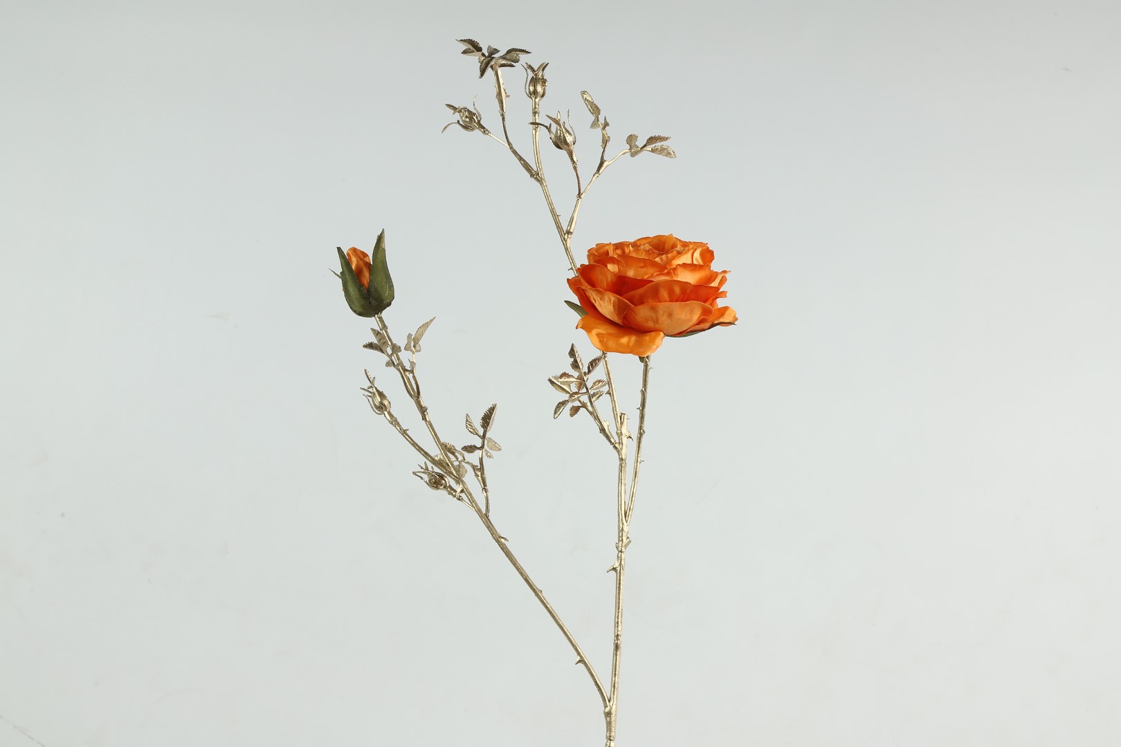 Rosa S oranje - Countryfield