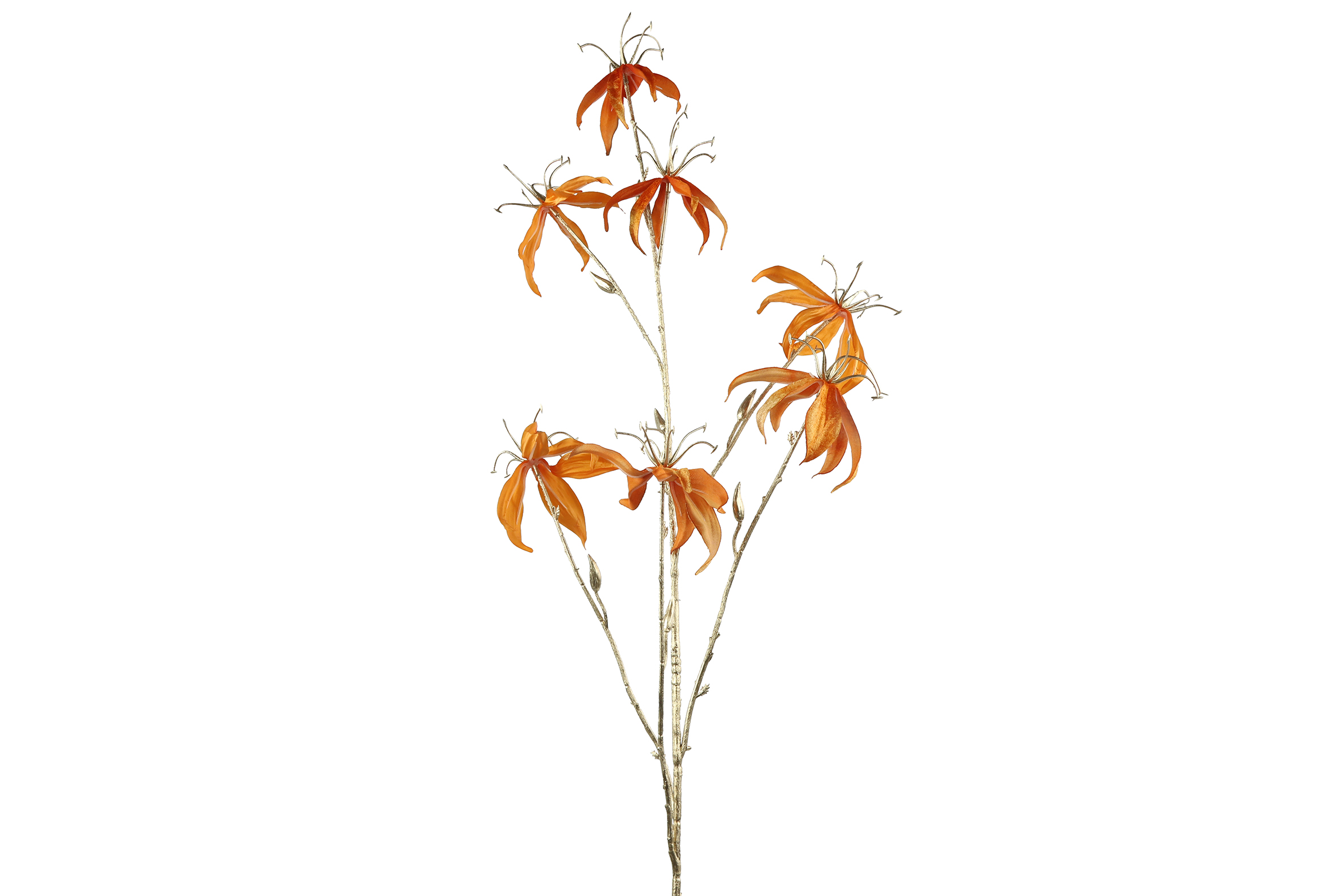 Gloriosa L oranje - Countryfield