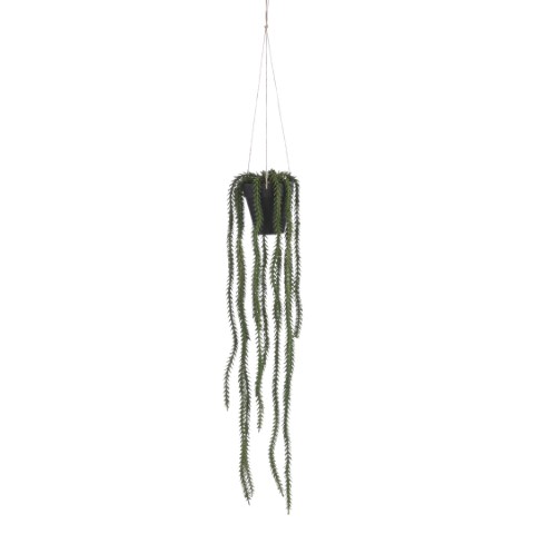 Rhipsalis hangend in pot groen - l62xd9cm - Mica Decorations