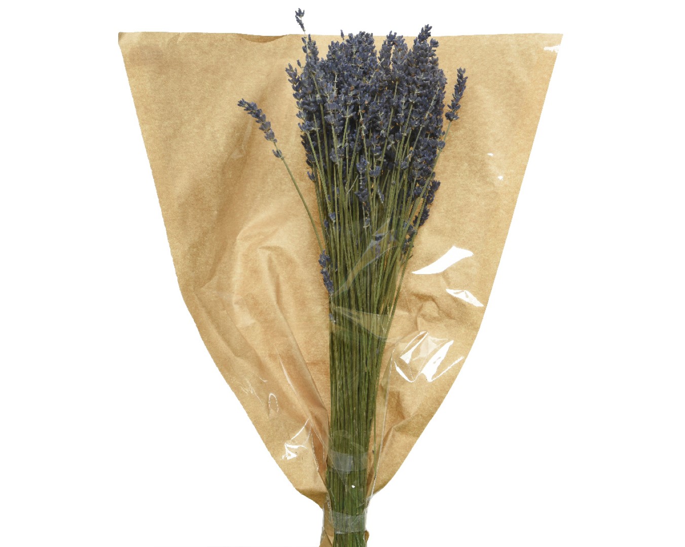 Lavender dried flower dia12-H50cm purple
