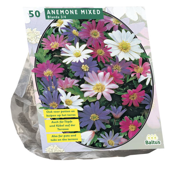 Anemone Blanda Mix per 50 bloembollen Baltus