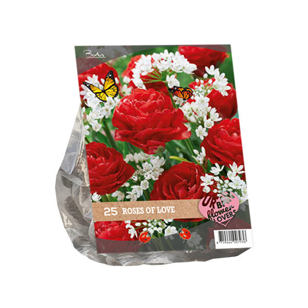 Urban Flowers - Roses of love per 25