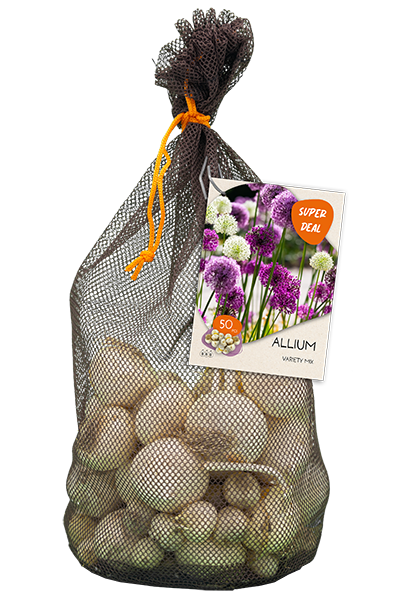 Allium variety mixed per 50 bloembollen - Baltus