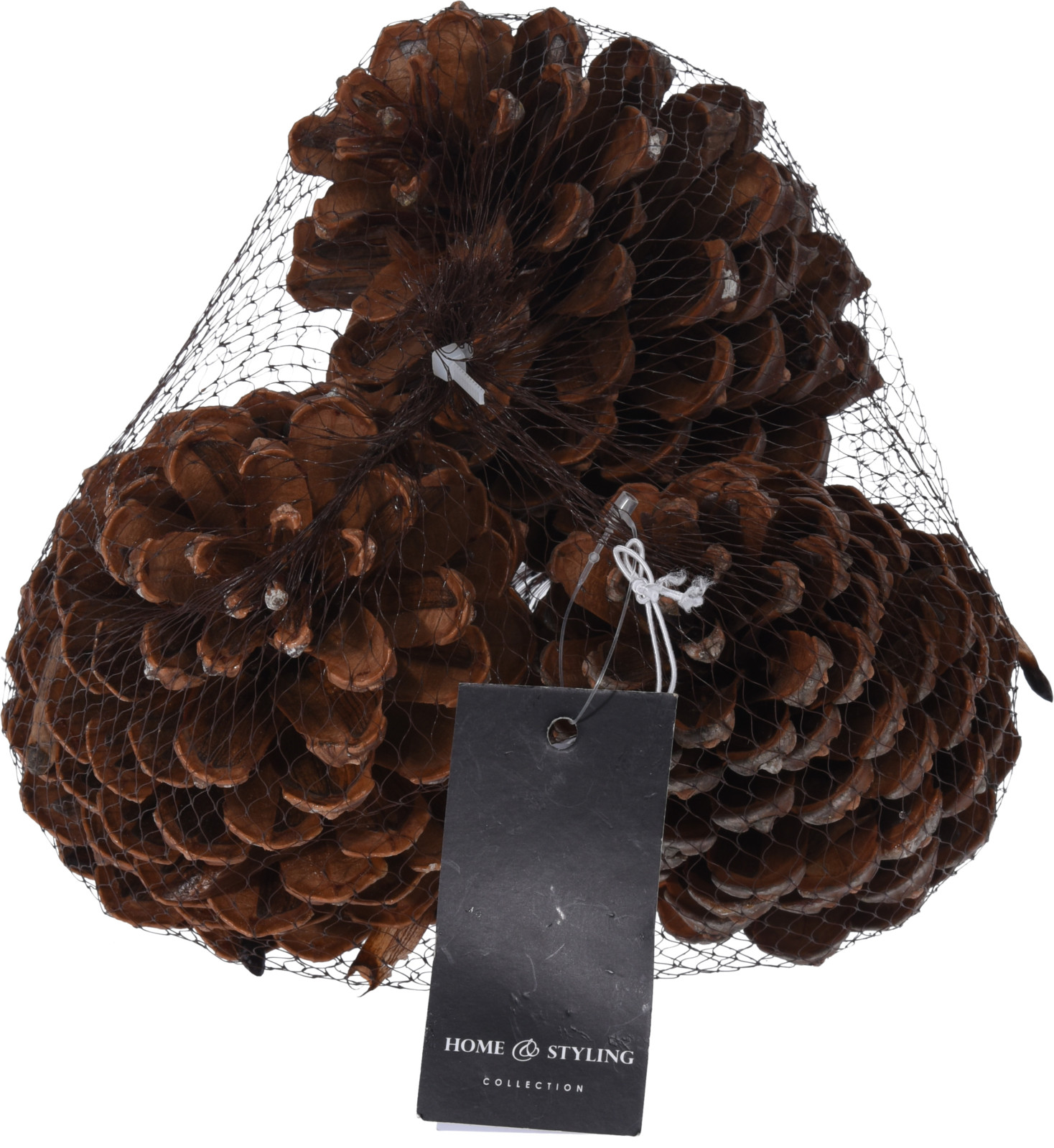 Pinecone Natural Set 3Pcs