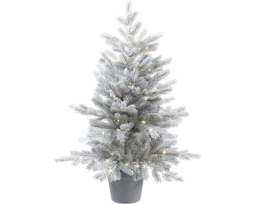 Everlands Grandis tree fr. micro led bo od 487t H120 cm D77 cm - 