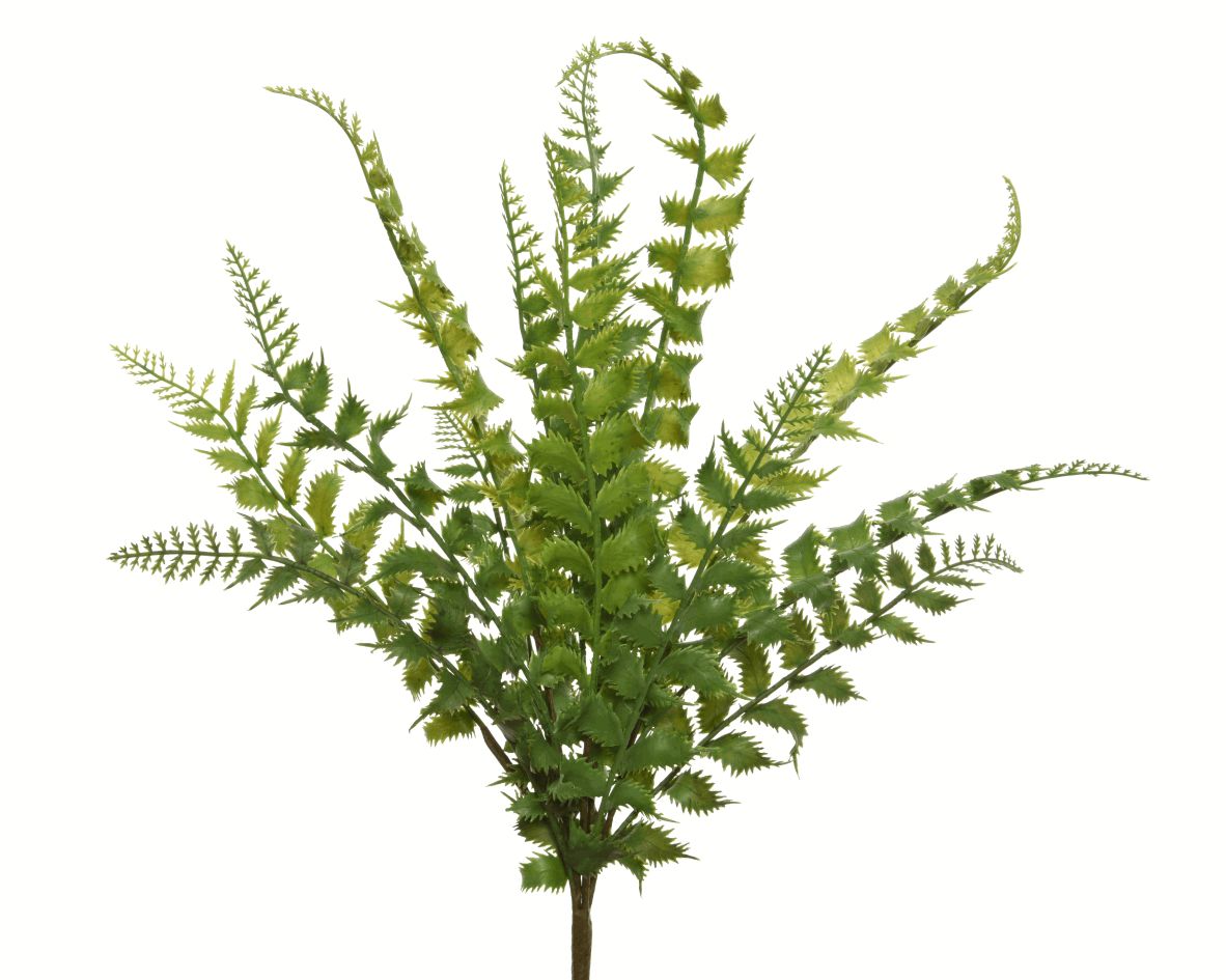 Fern plastic L38-W40-H44cm green