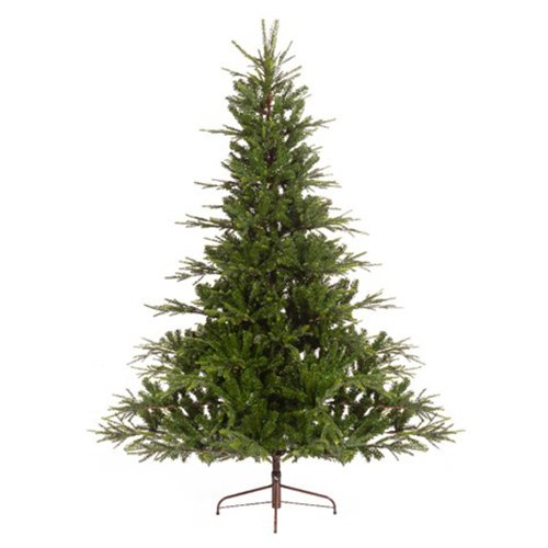 Serbian spruce 1604tips green