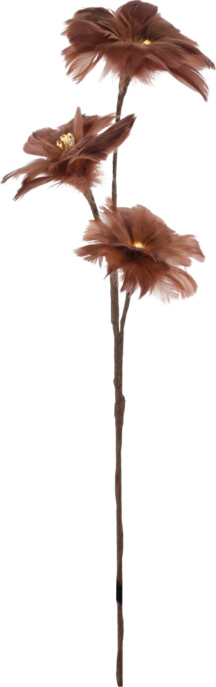 Flowerbranch Feather 80 cm Brow - Nampook