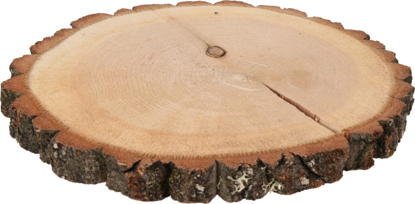 Wooden Slice Oak 23-28 cm (F1) - Nampook