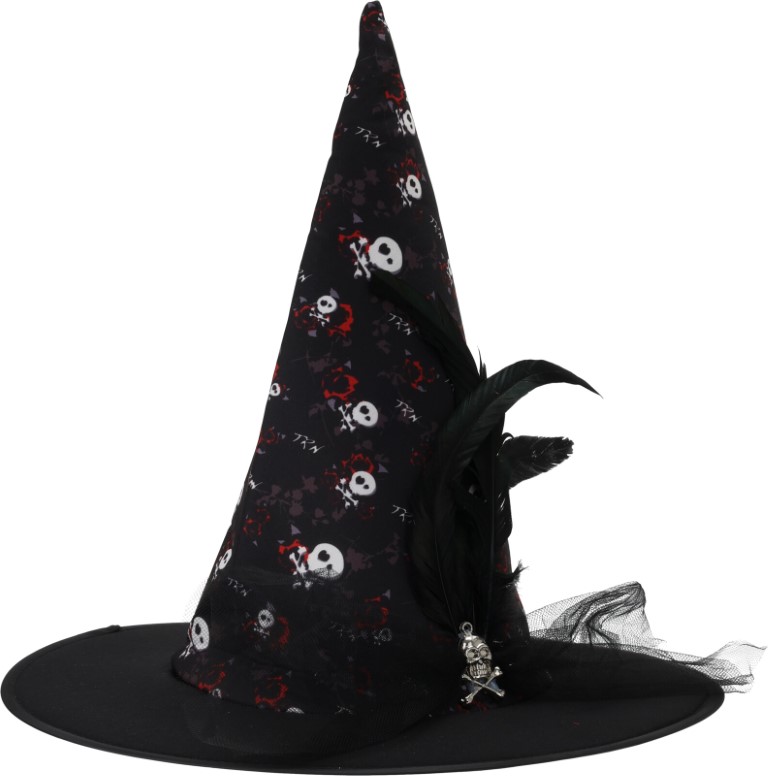 Witch Top Hat With Print - Nampook