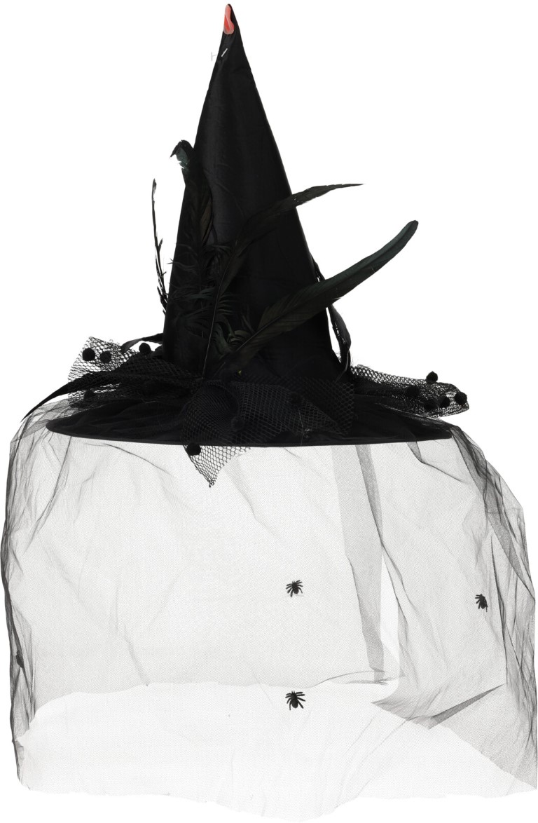 Witch Top Hat With Veil Nampook