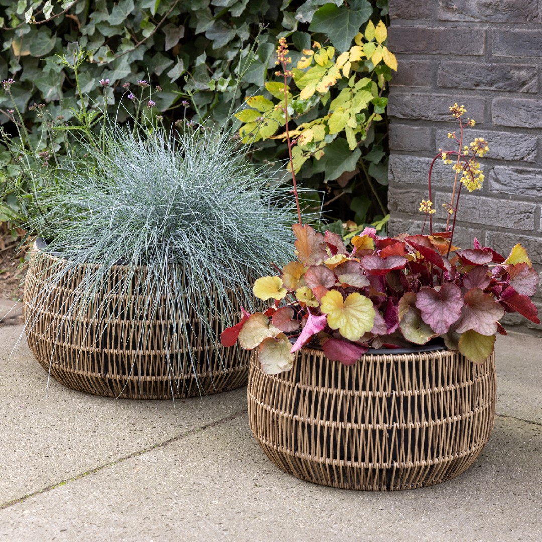 Kate Planter S Wicker Low Round Lichtbruin